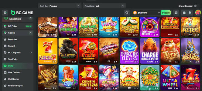 Exploring the Exciting Features of BC.Game Online Platform